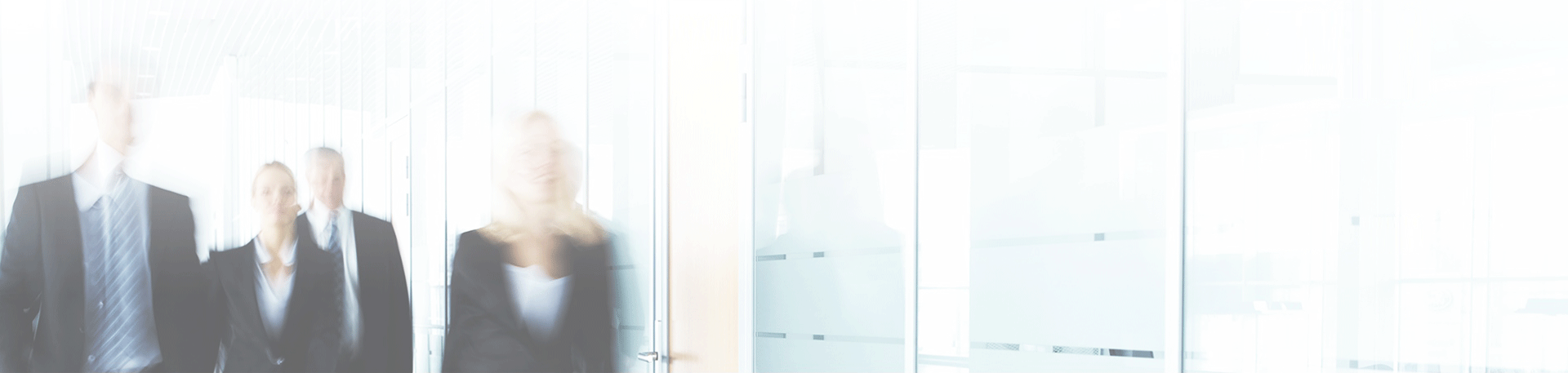 הצוות המשפטי 